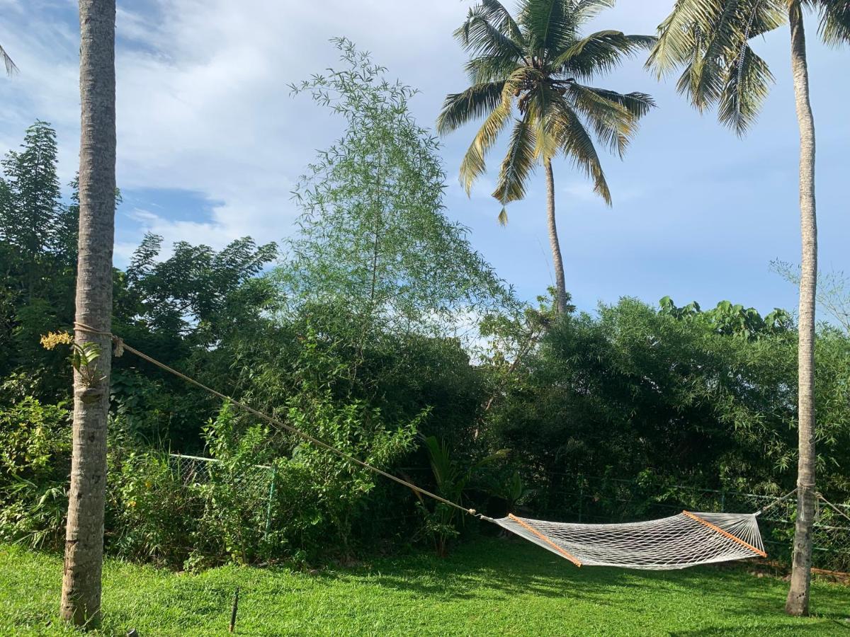 Amara Ayurveda Retreat- Overlooking Evergreen Western Ghats An Ecologically Sustainable Living Space In Kovalam Kültér fotó