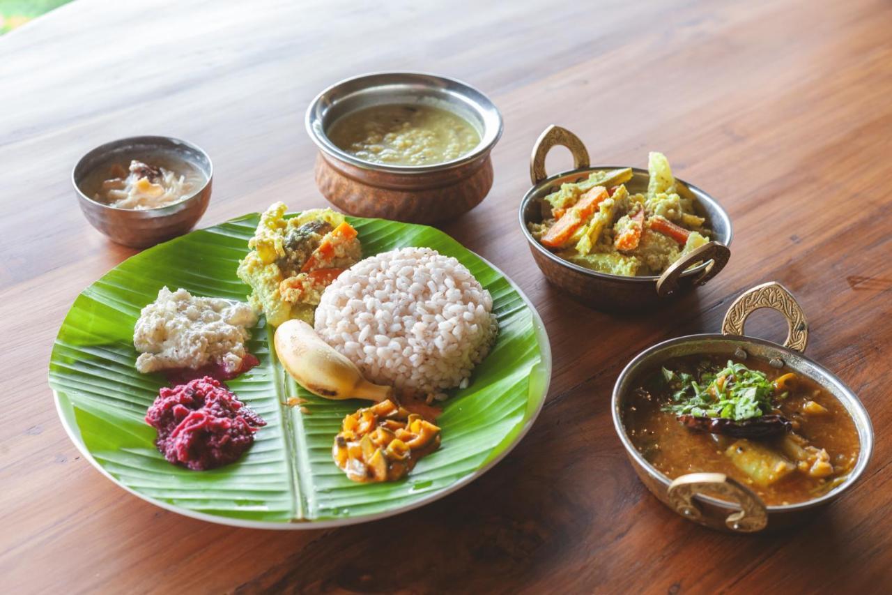 Amara Ayurveda Retreat- Overlooking Evergreen Western Ghats An Ecologically Sustainable Living Space In Kovalam Kültér fotó