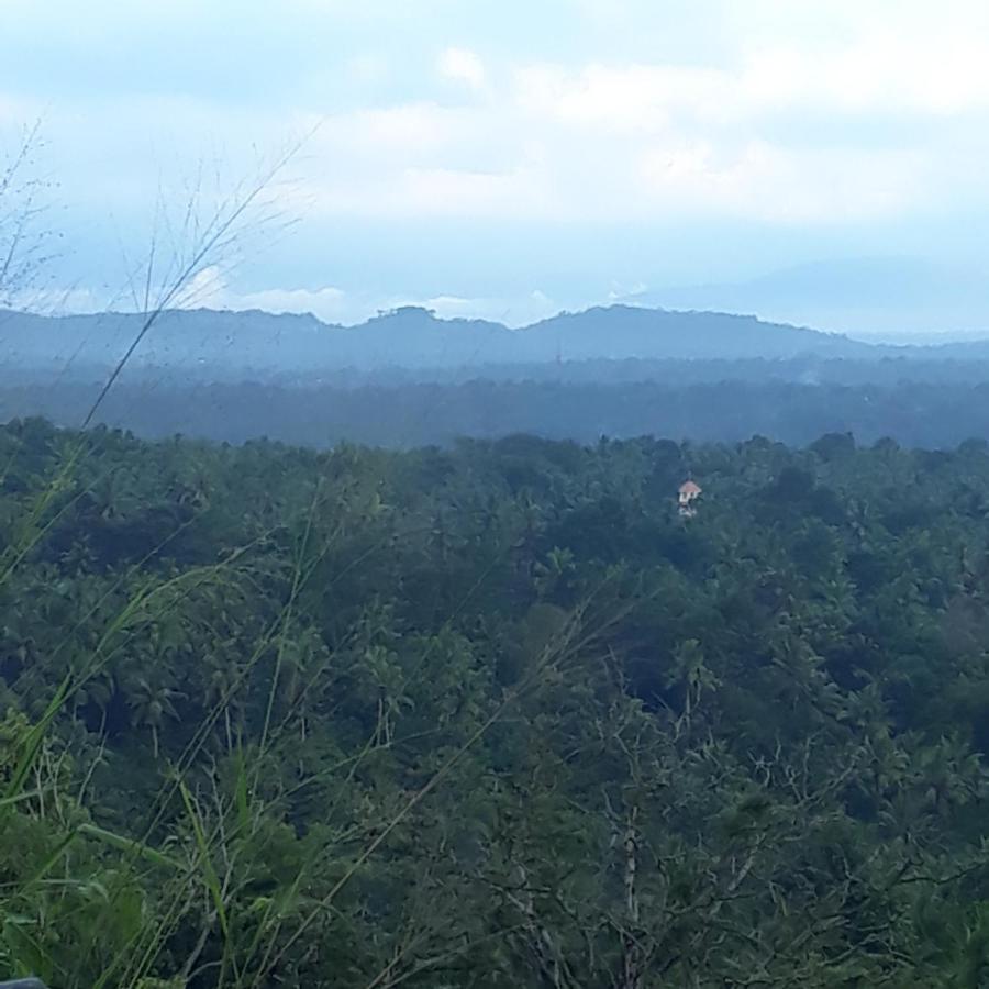 Amara Ayurveda Retreat- Overlooking Evergreen Western Ghats An Ecologically Sustainable Living Space In Kovalam Kültér fotó